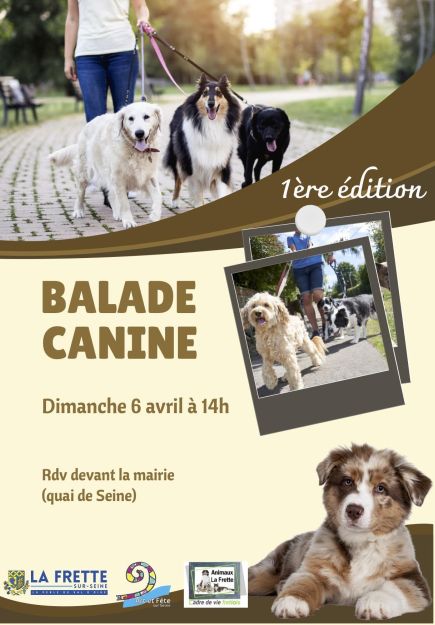 Balade canine