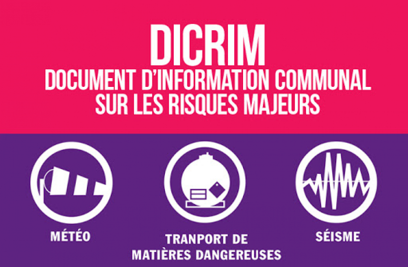 dicrim