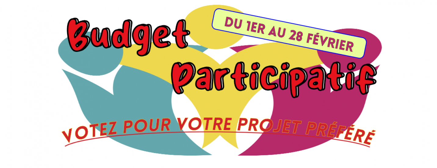 Budget participatif - Votez pour votre projet préféré