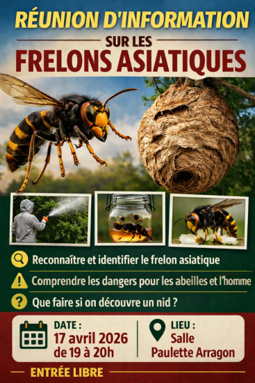 Réunion info frelons 2026
