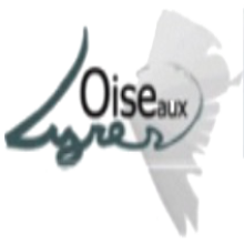 L'oise aux Lyres