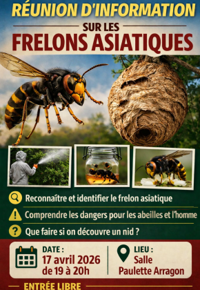 Réunion info frelons 2026