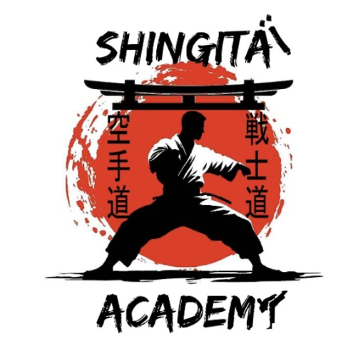 shingitai-academy